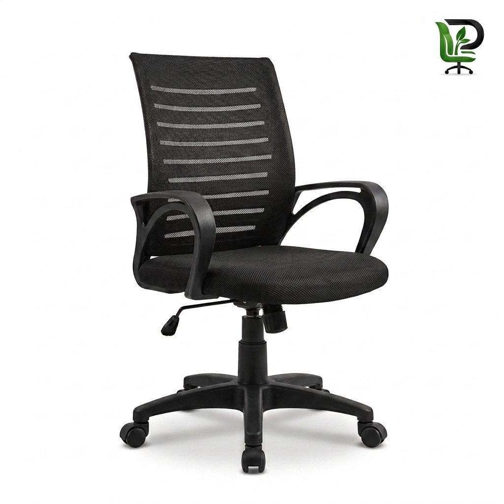 Imported Chairs